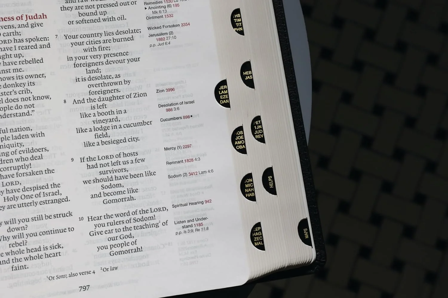 ESV, Thompson Chain-Reference Bible, Large Print, Red Letter - Image 10