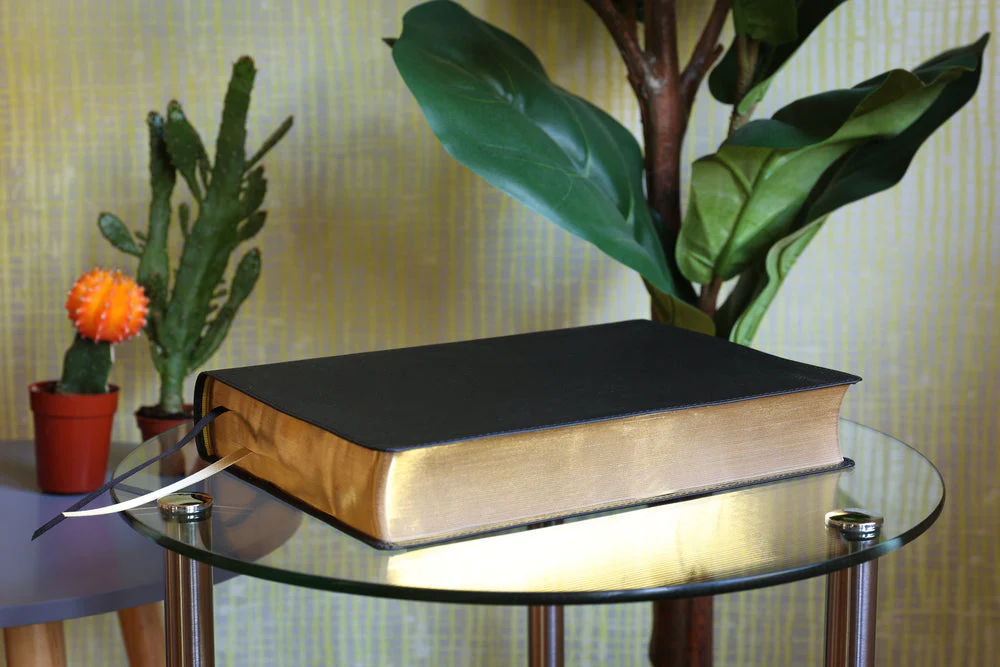 ESV, Thompson Chain-Reference Bible, Large Print, Red Letter - Image 12