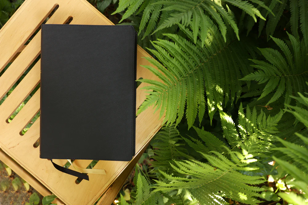 ESV, Thompson Chain-Reference Bible, Large Print, Red Letter - Image 4