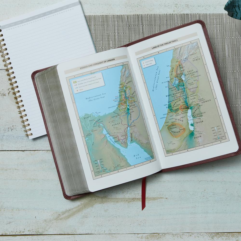 KJV, Deluxe Gift Bible, Red Letter Edition, Comfort Print - Image 26