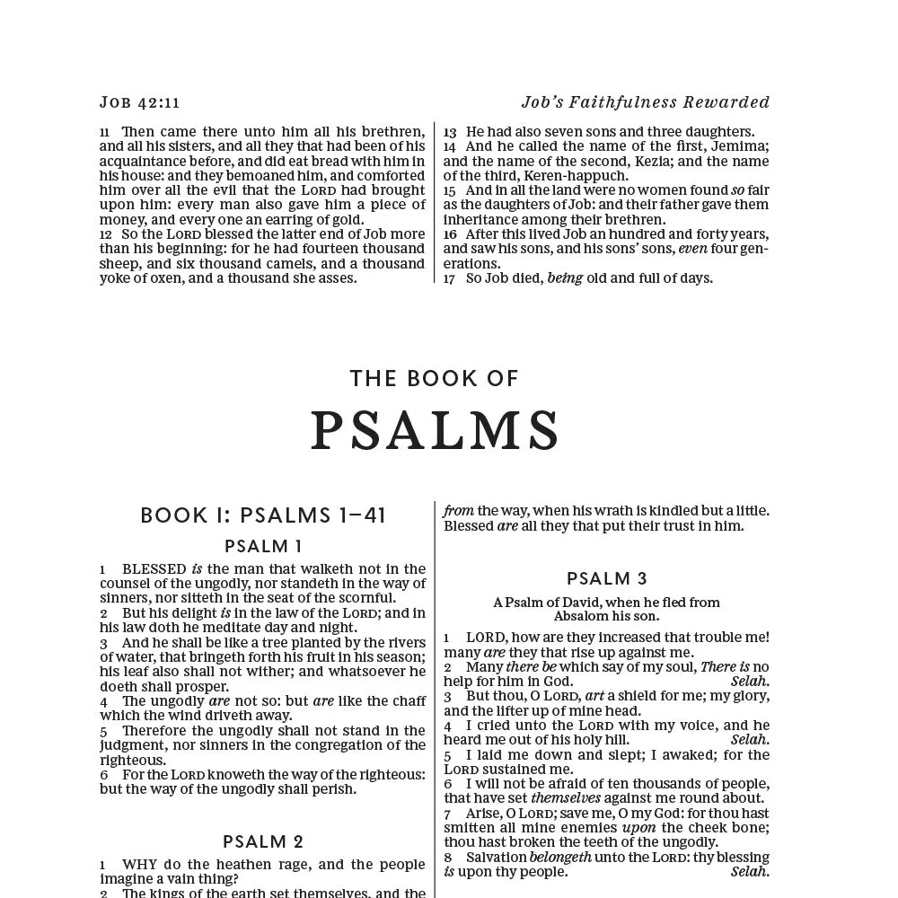 KJV, Deluxe Gift Bible, Red Letter Edition, Comfort Print - Image 29