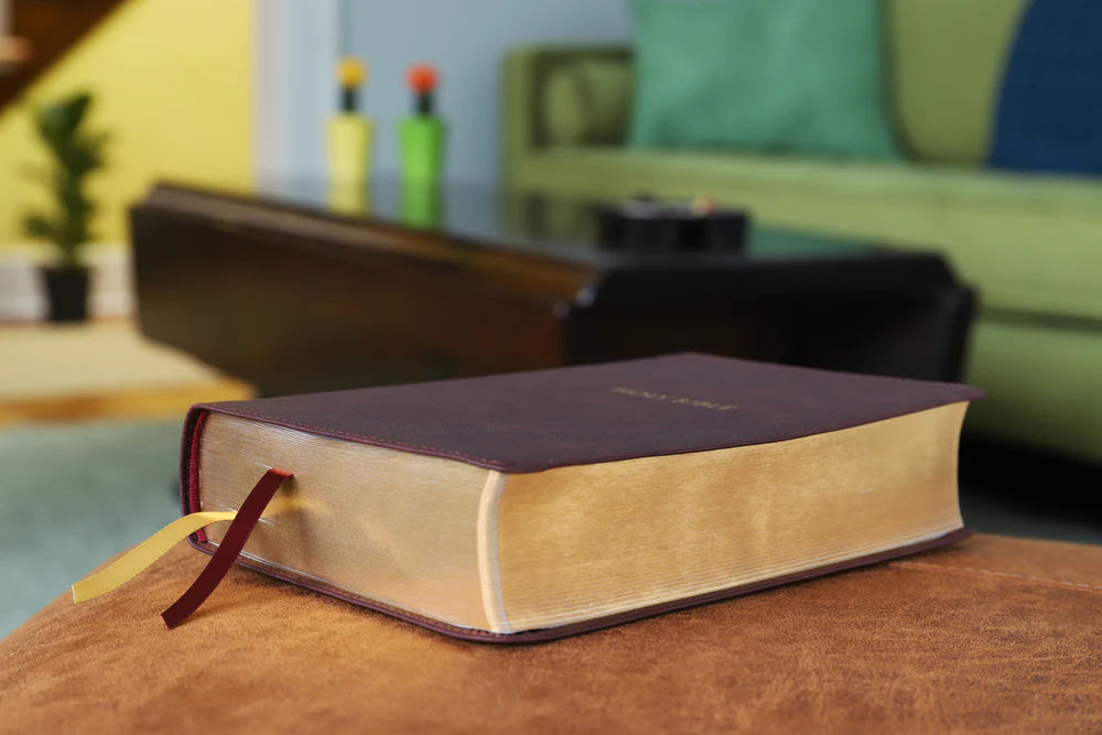 KJV, Thompson Chain-Reference Bible, Handy Size, Red Letter, Comfort Print - Image 11