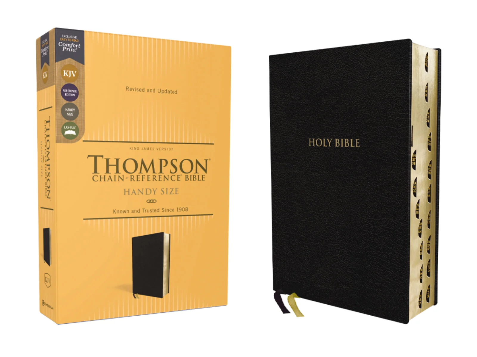 KJV, Thompson Chain-Reference Bible, Handy Size, Red Letter, Comfort Print - Image 24