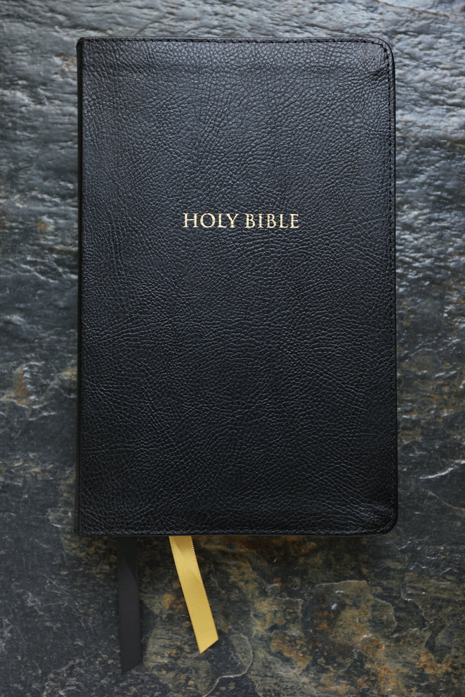 KJV, Thompson Chain-Reference Bible, Handy Size, Red Letter, Comfort Print - Image 25
