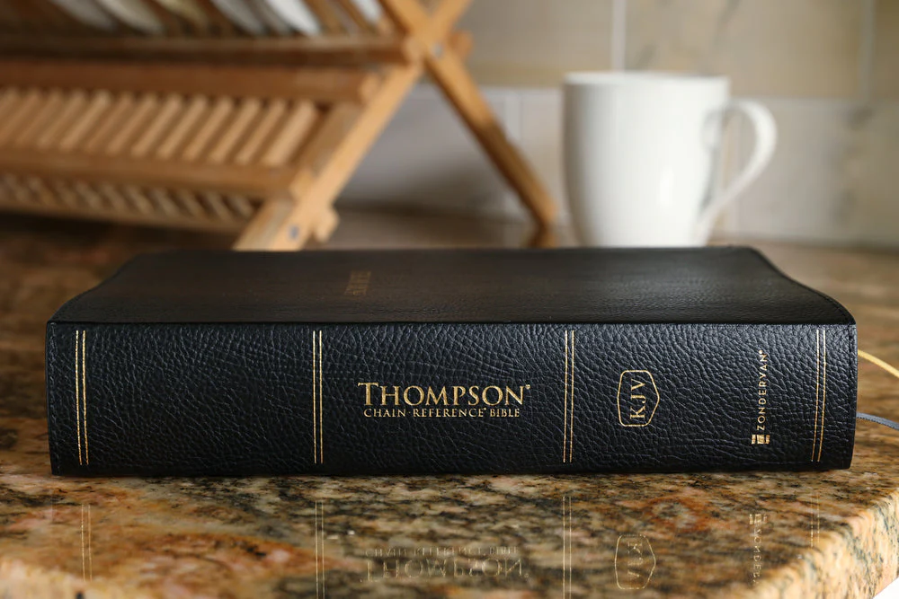 KJV, Thompson Chain-Reference Bible, Handy Size, Red Letter, Comfort Print - Image 27