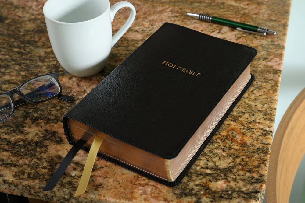 KJV, Thompson Chain-Reference Bible, Handy Size, Red Letter, Comfort Print - Image 29