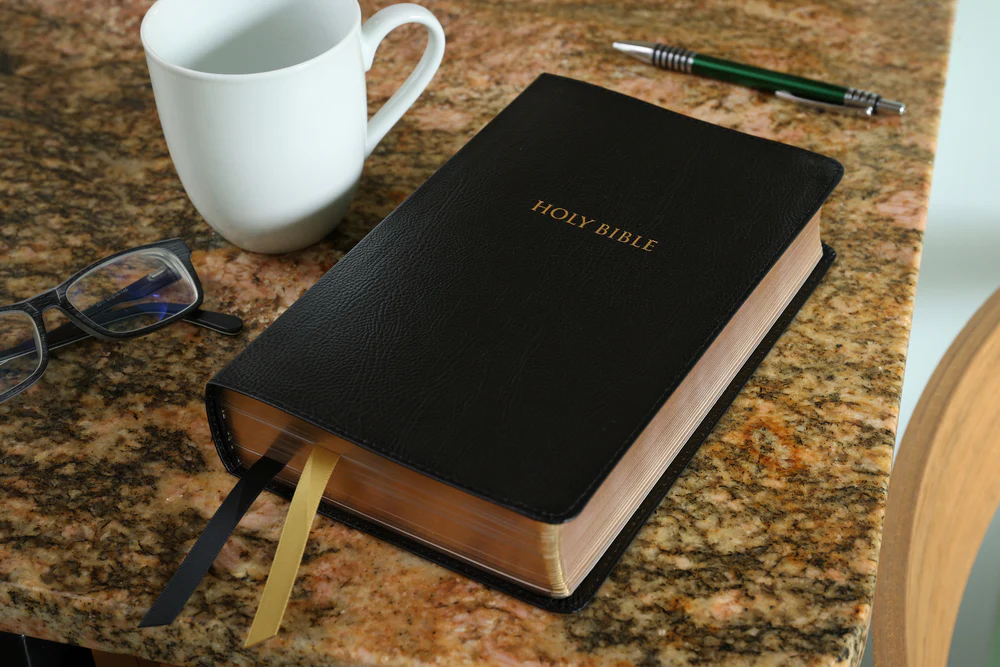 KJV, Thompson Chain-Reference Bible, Handy Size, Red Letter, Comfort Print - Image 6