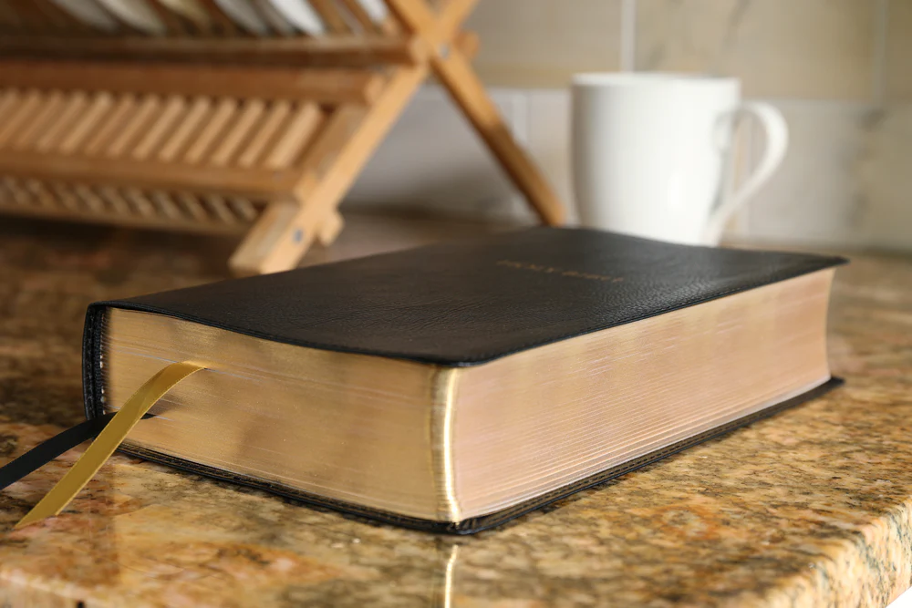 KJV, Thompson Chain-Reference Bible, Handy Size, Red Letter, Comfort Print - Image 8