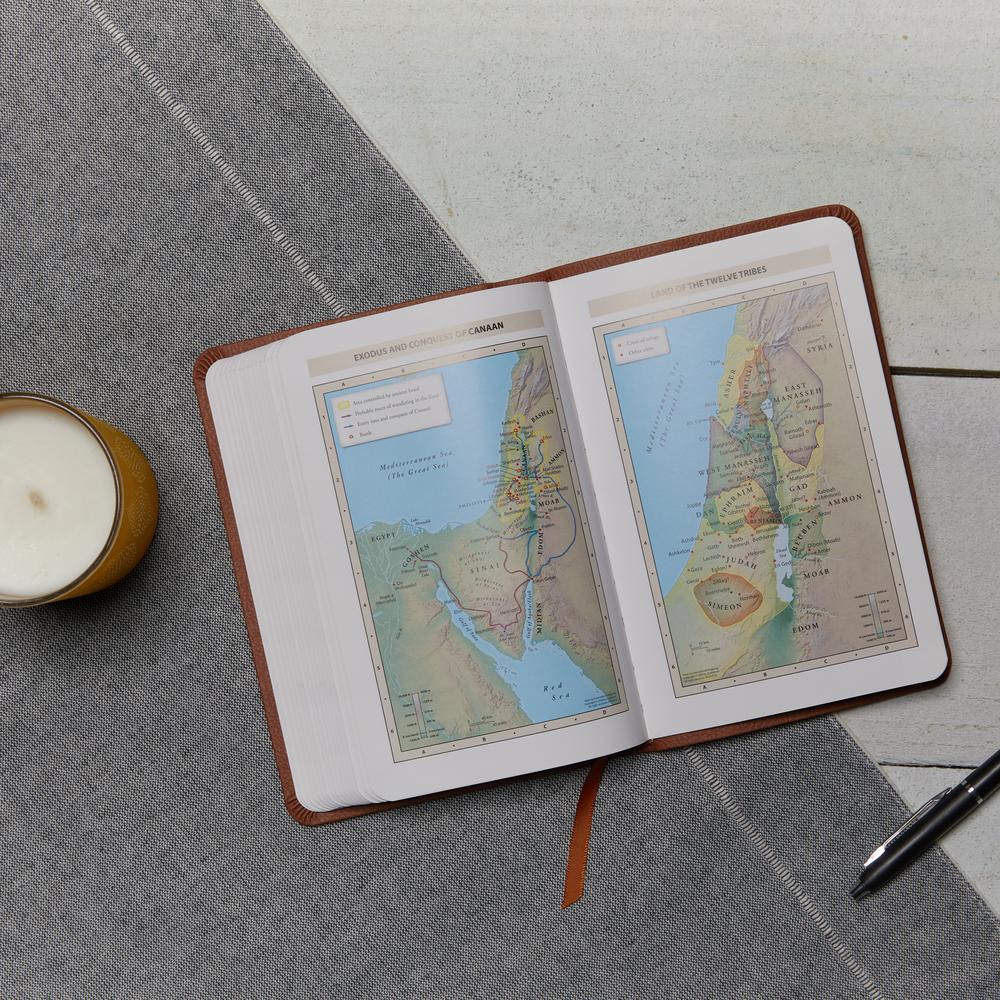 KJV, Value Thinline Bible, Compact, Red Letter, Comfort Print - Image 21