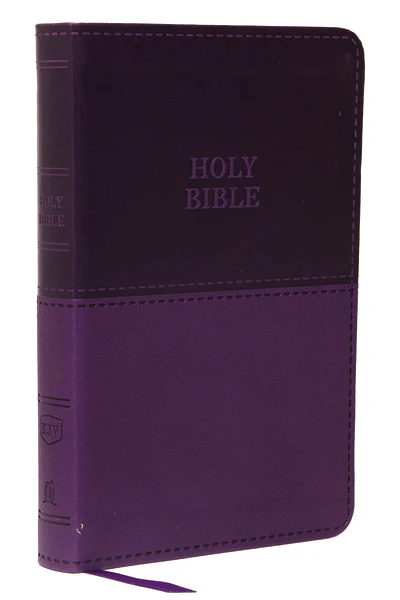 KJV, Value Thinline Bible, Compact, Red Letter, Comfort Print - Image 5