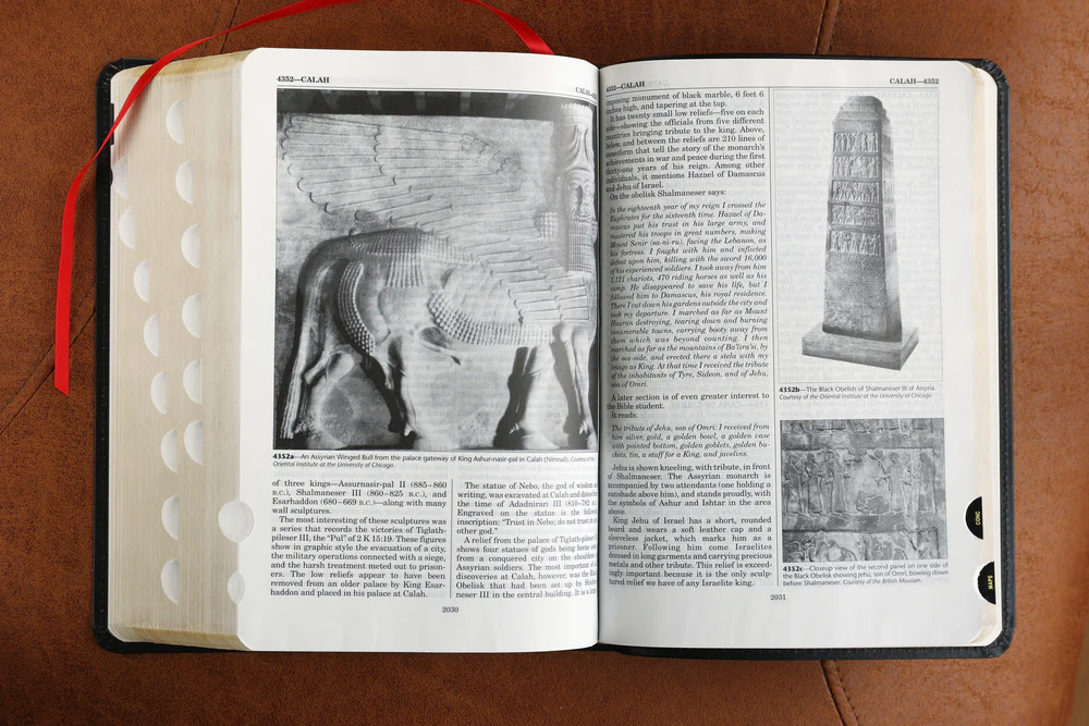 NASB, Thompson Chain-Reference Bible, Red Letter Edition, 1977 Text - Image 46