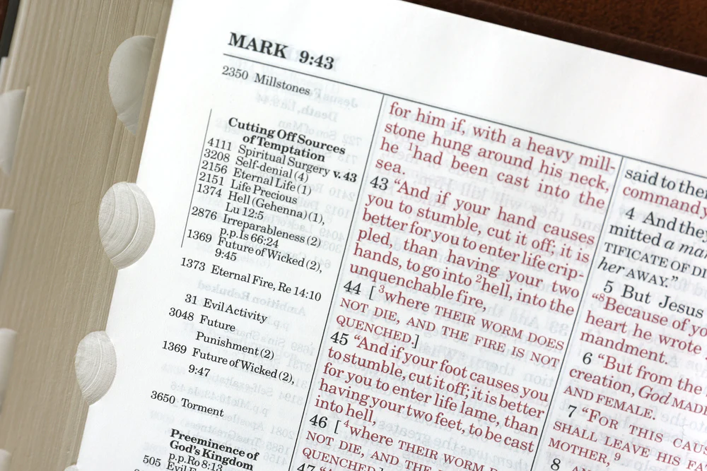 NASB, Thompson Chain-Reference Bible, Red Letter Edition, 1977 Text - Image 53