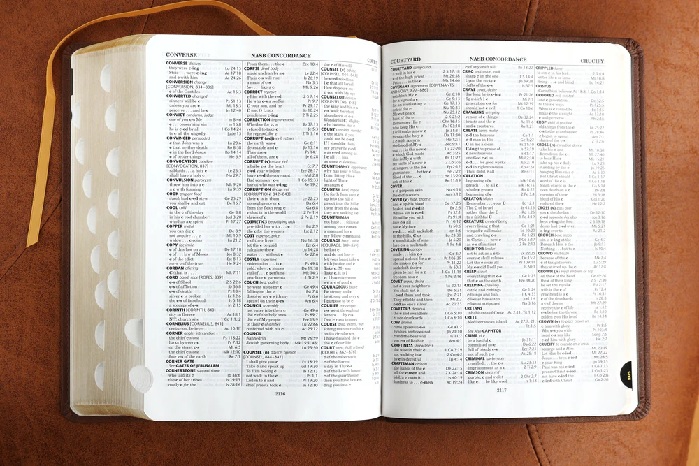 NASB, Thompson Chain-Reference Bible, Red Letter Edition, 1977 Text - Image 62