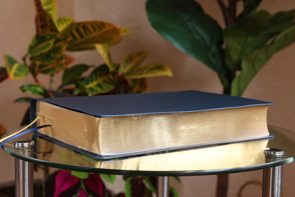 NASB, Thompson Chain-Reference Bible, Large Print, 1995 Text, Red Letter, Comfort Print - Image 9