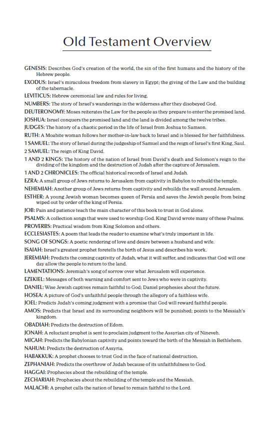 NIrV, Economy Bible, Paperback: Easy to read. Easy to share. - Image 4