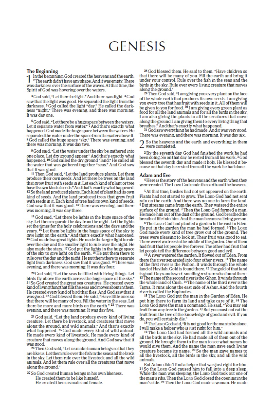 NIrV, Economy Bible, Paperback: Easy to read. Easy to share. - Image 5