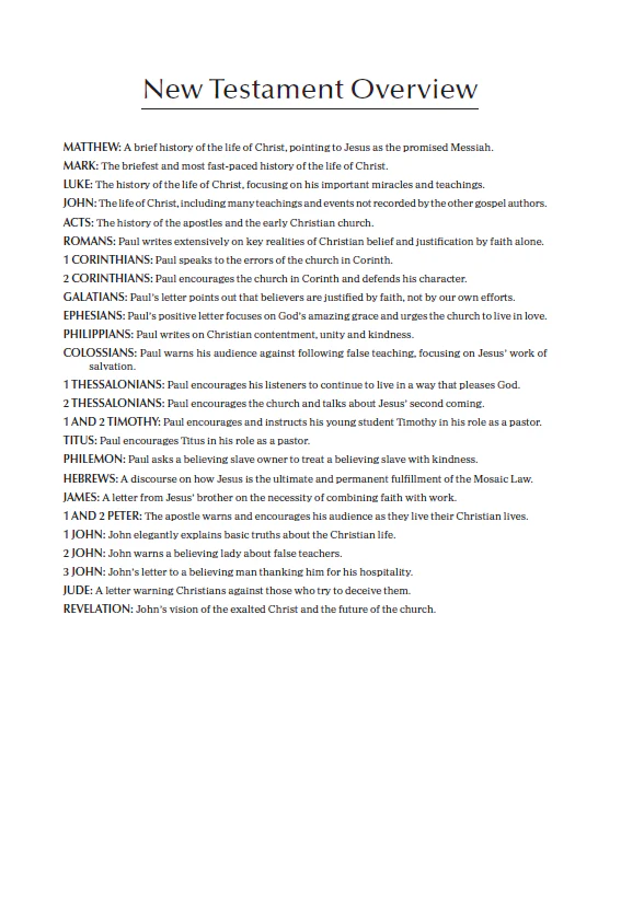NIrV, Economy Bible, Paperback: Easy to read. Easy to share. - Image 6