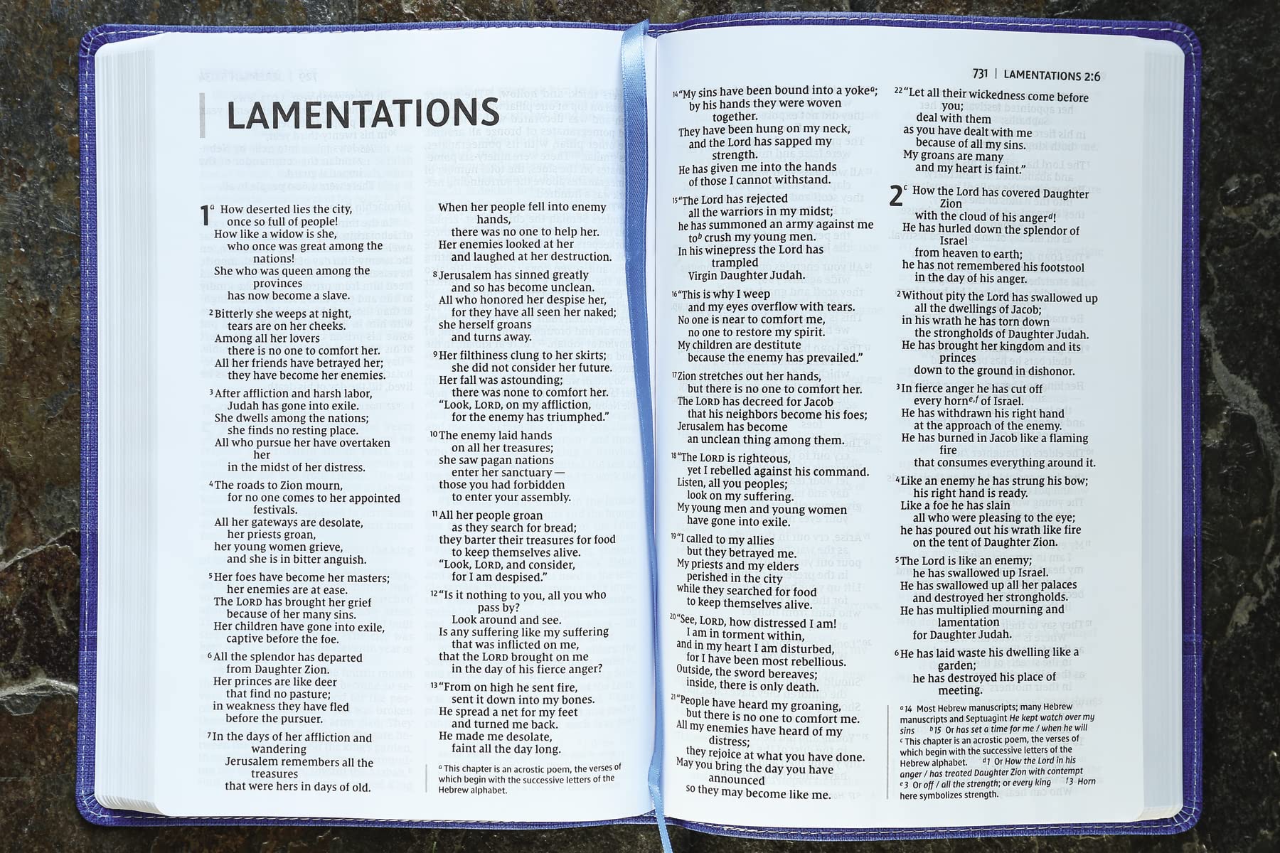 NIV, Bible for Kids, Large Print, Red Letter Edition, Comfort Print: Thinline Edition - Image 11