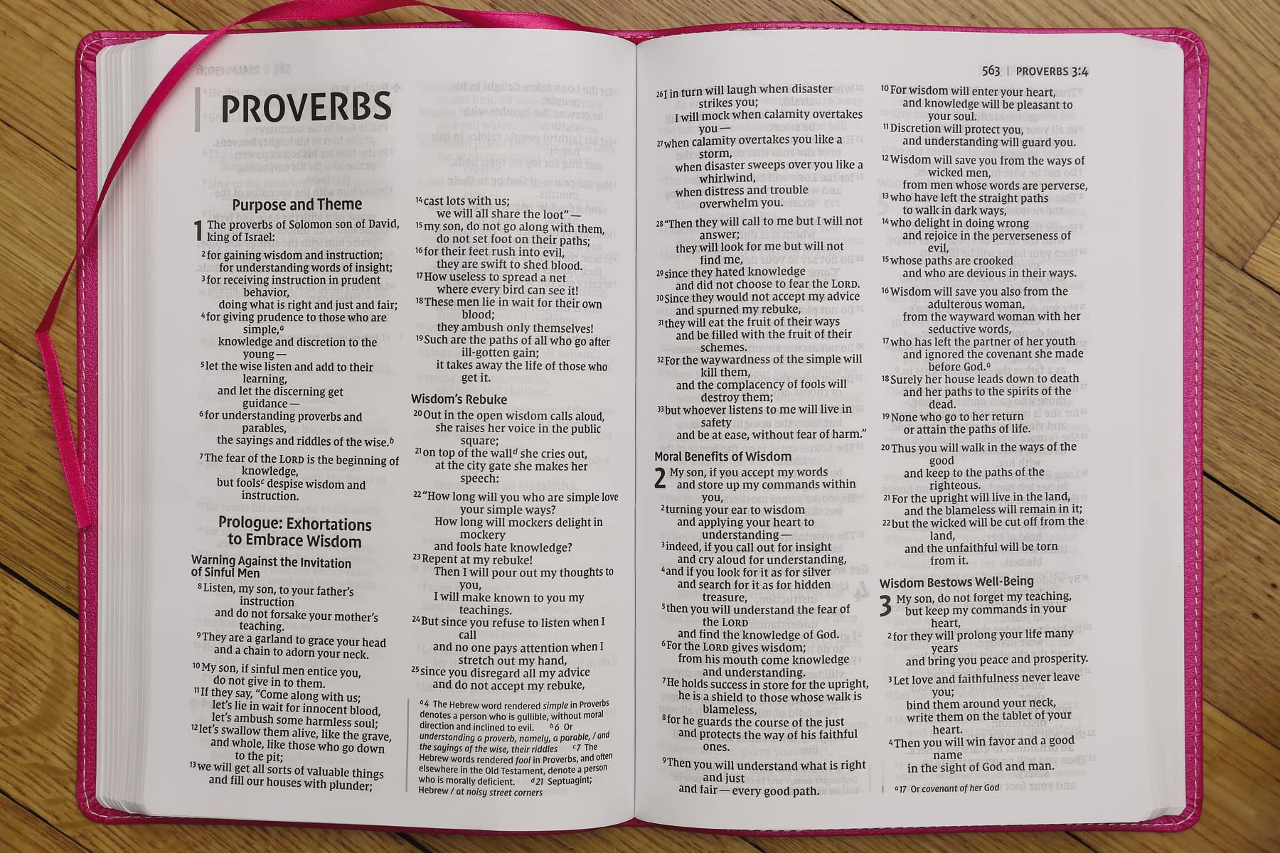 NIV, Bible for Kids, Large Print, Red Letter Edition, Comfort Print: Thinline Edition - Image 24