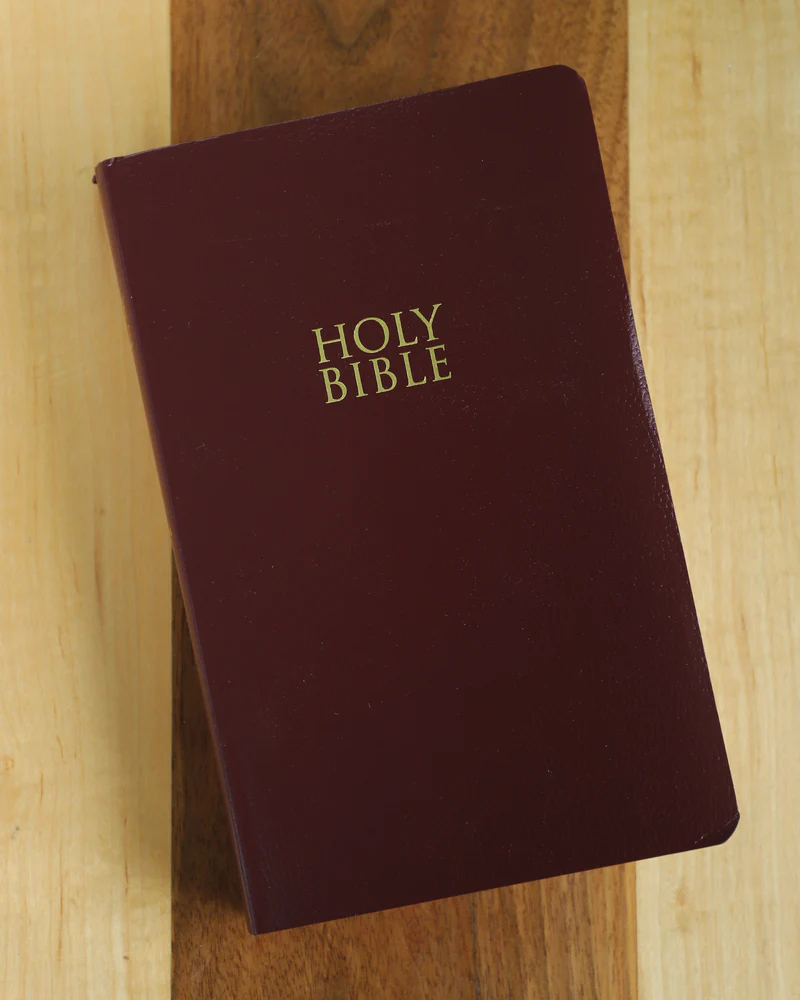 NIV, Gift and Award Bible, Leather-Look, Red Letter Edition, Comfort Print - Image 18