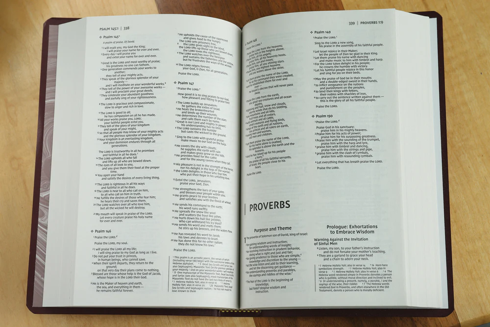 NIV, Gift and Award Bible, Leather-Look, Red Letter Edition, Comfort Print - Image 20