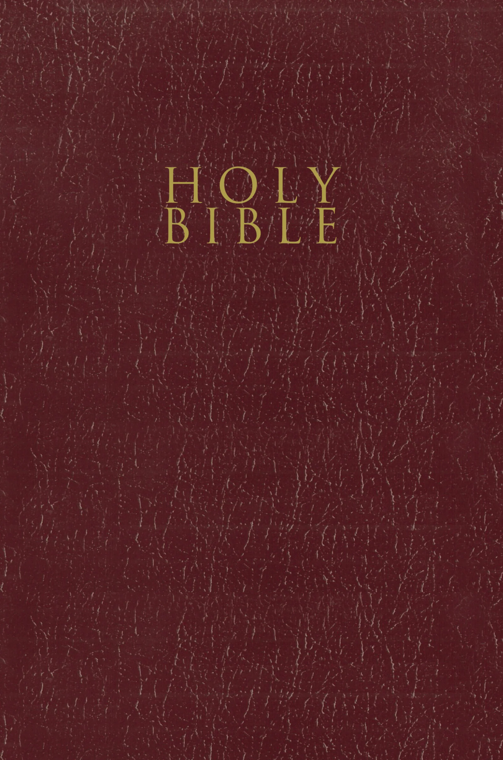 NIV, Gift and Award Bible, Leather-Look, Red Letter Edition, Comfort Print - Image 29
