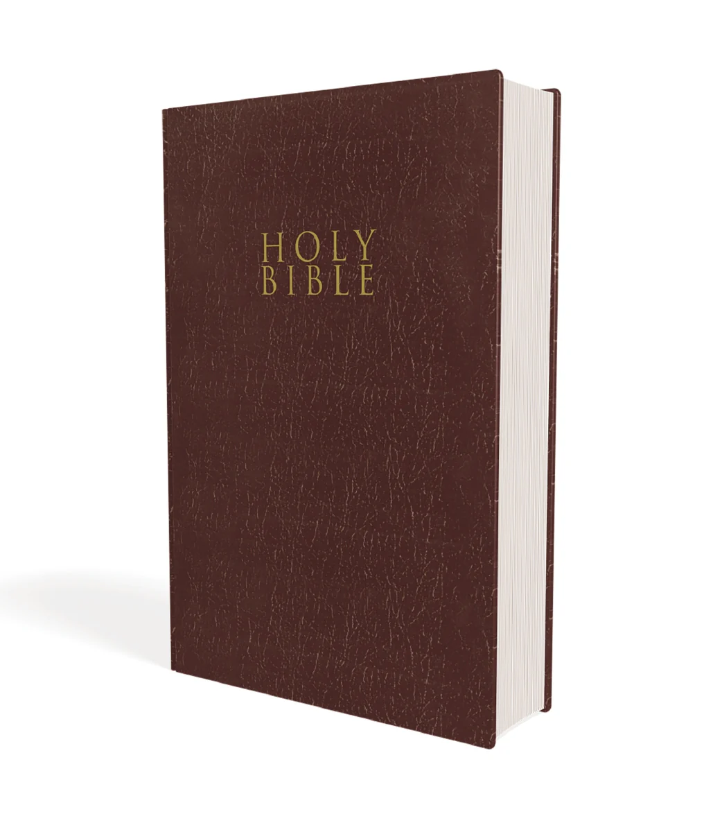 NIV, Gift and Award Bible, Leather-Look, Red Letter Edition, Comfort Print - Image 3