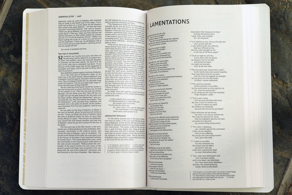 NIV, Gift and Award Bible, Leather-Look, Red Letter Edition, Comfort Print - Image 33