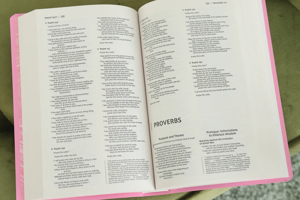 NIV, Gift and Award Bible, Leather-Look, Red Letter Edition, Comfort Print - Image 39