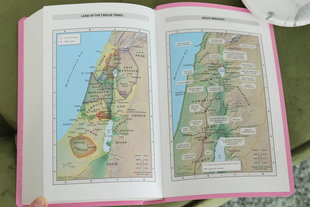 NIV, Gift and Award Bible, Leather-Look, Red Letter Edition, Comfort Print - Image 40