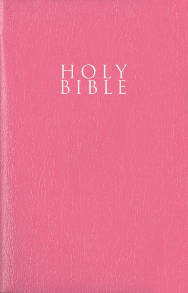 NIV, Gift and Award Bible, Leather-Look, Red Letter Edition, Comfort Print - Image 41