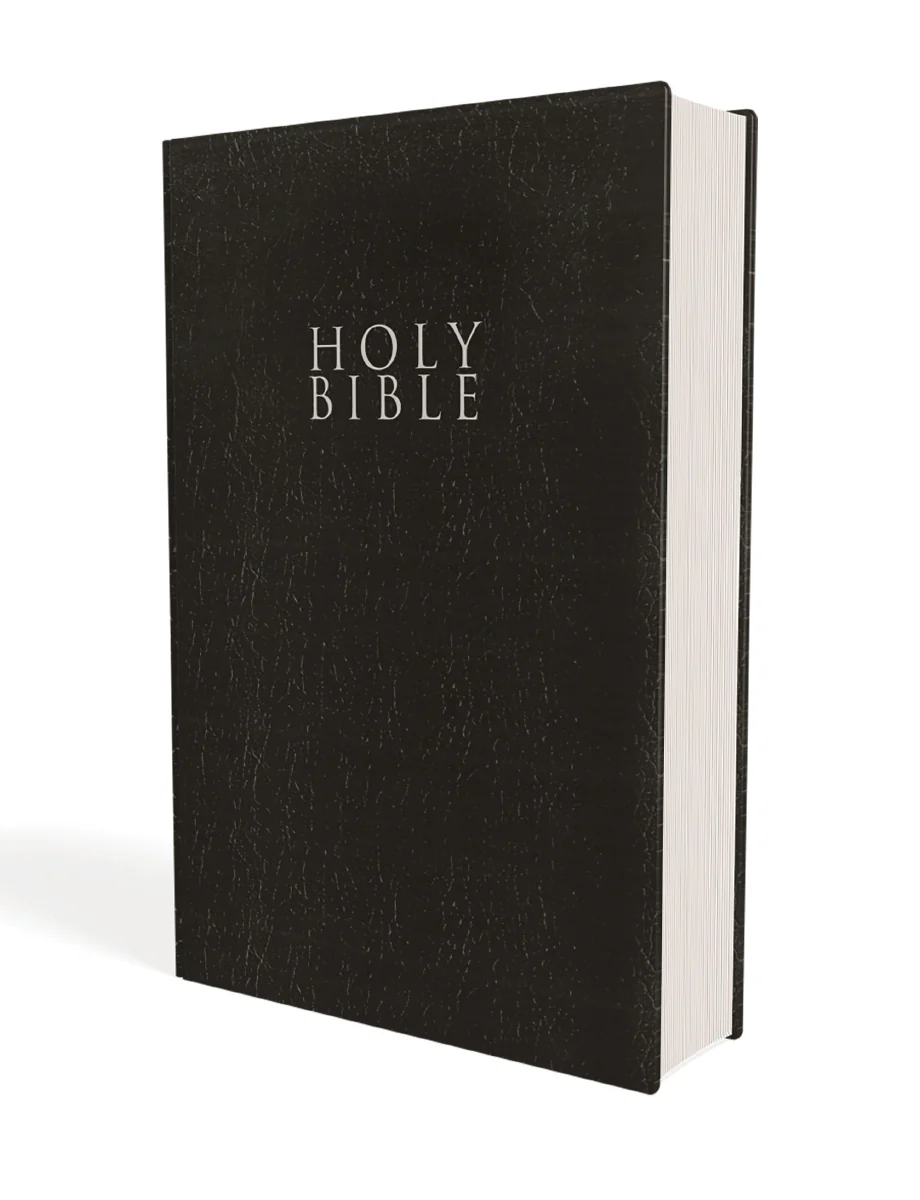 NIV, Gift and Award Bible, Leather-Look, Red Letter Edition, Comfort Print - Image 5