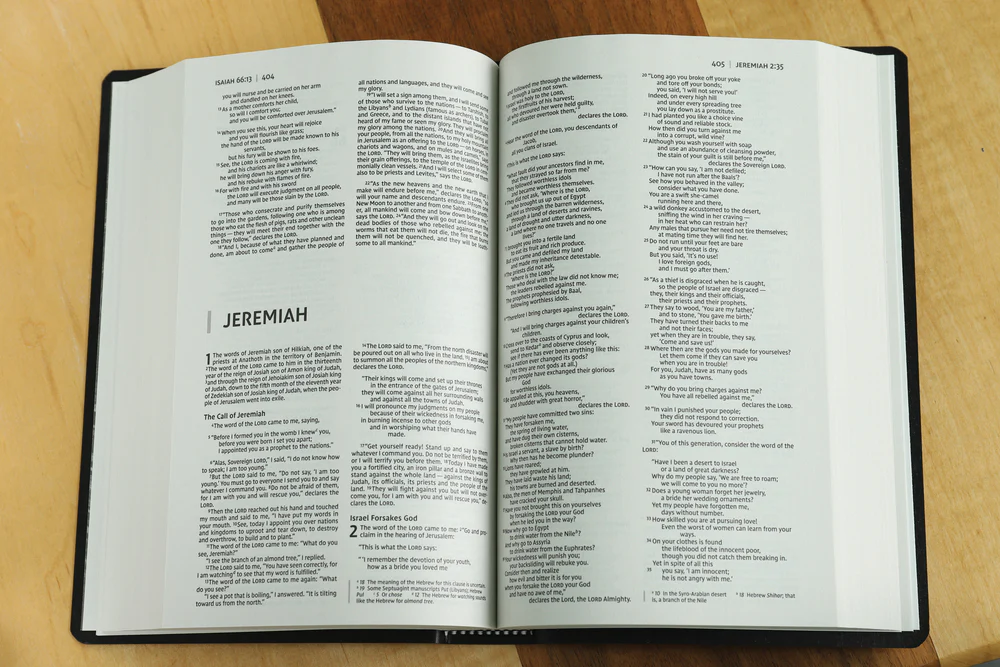 NIV, Gift and Award Bible, Leather-Look, Red Letter Edition, Comfort Print - Image 8