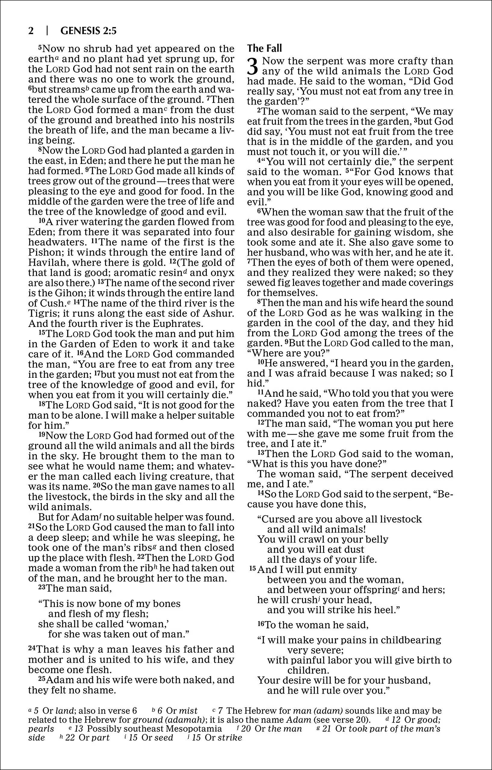 NIV, God's Word Outreach Bible - Image 5