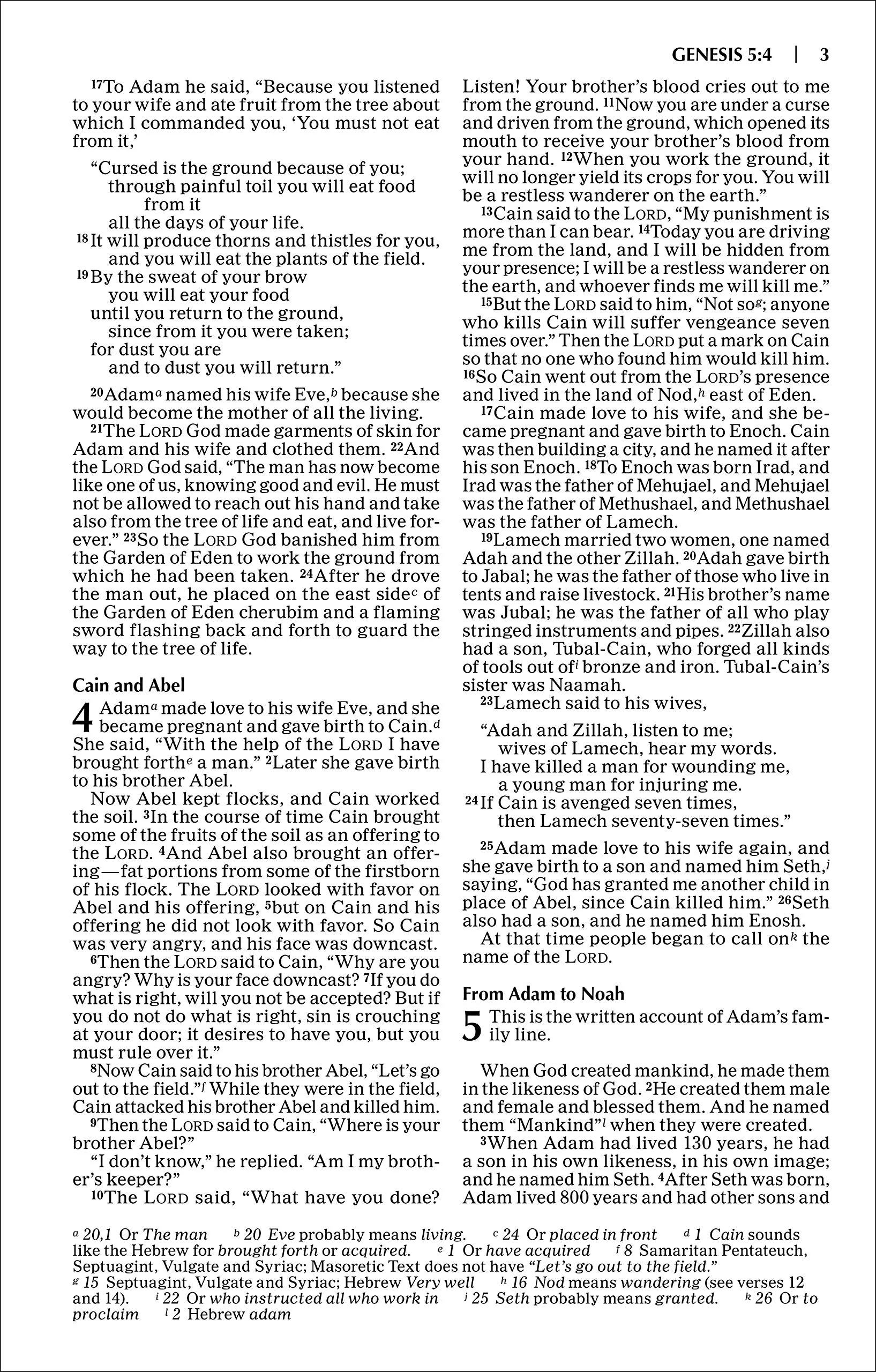 NIV, God's Word Outreach Bible - Image 6