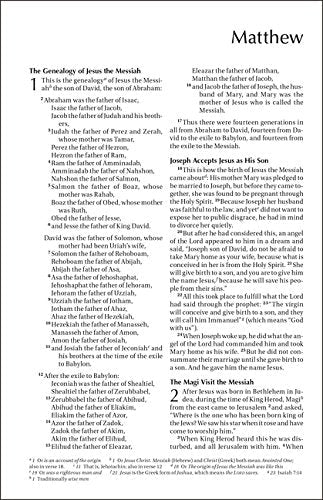 NIV, Outreach New Testament for Kids, Paperback - Image 55