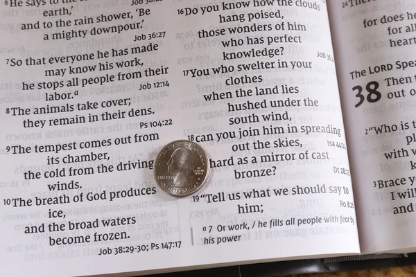 NIV, Super Giant Print Reference Bible, Red Letter Edition, Comfort Print - Image 15