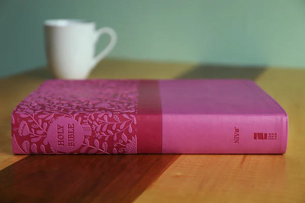 NIV, Super Giant Print Reference Bible, Red Letter Edition, Comfort Print - Image 17