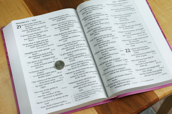 NIV, Super Giant Print Reference Bible, Red Letter Edition, Comfort Print - Image 20