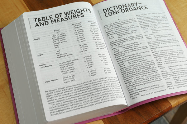 NIV, Super Giant Print Reference Bible, Red Letter Edition, Comfort Print - Image 22