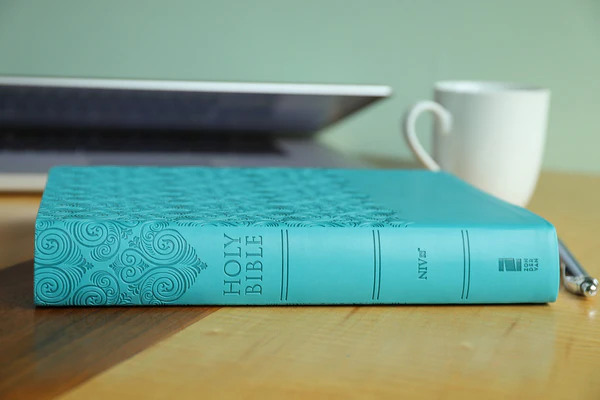 NIV, Super Giant Print Reference Bible, Red Letter Edition, Comfort Print - Image 29