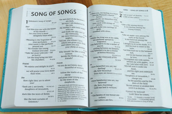 NIV, Super Giant Print Reference Bible, Red Letter Edition, Comfort Print - Image 30