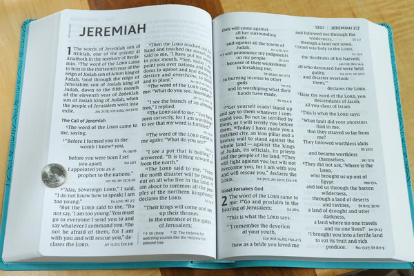 NIV, Super Giant Print Reference Bible, Red Letter Edition, Comfort Print - Image 31