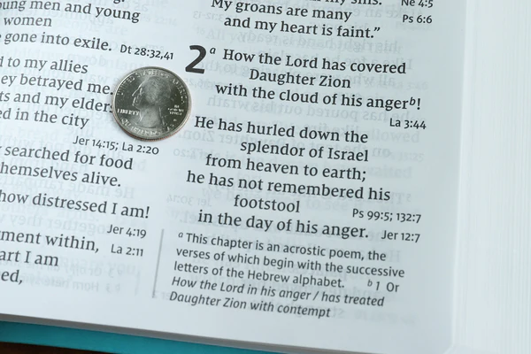 NIV, Super Giant Print Reference Bible, Red Letter Edition, Comfort Print - Image 32