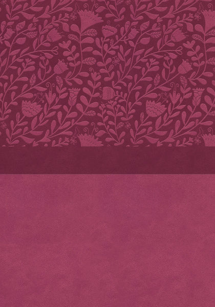 NIV, Super Giant Print Reference Bible, Red Letter Edition, Comfort Print - Image 34