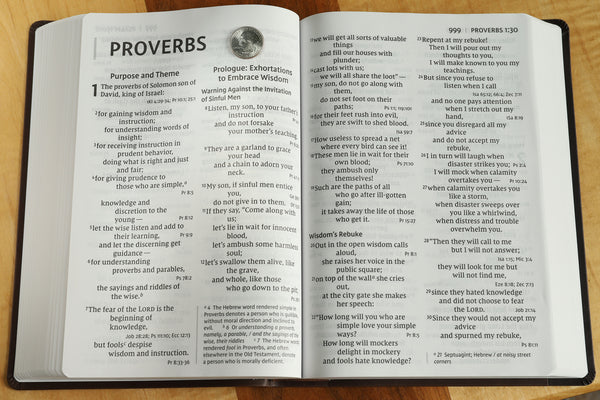 NIV, Super Giant Print Reference Bible, Red Letter Edition, Comfort Print - Image 46