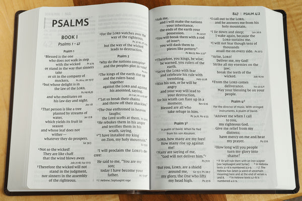 NIV, Super Giant Print Reference Bible, Red Letter Edition, Comfort Print - Image 48