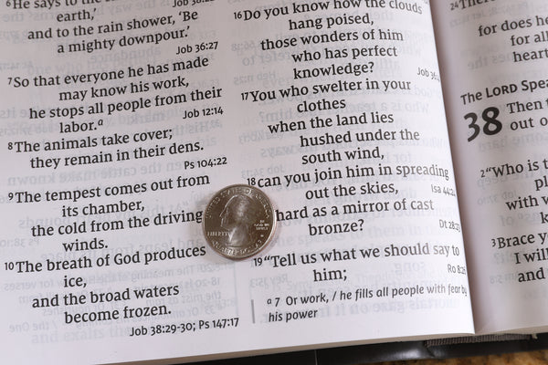 NIV, Super Giant Print Reference Bible, Red Letter Edition, Comfort Print - Image 56