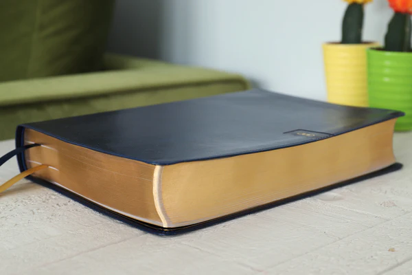 NIV, Thompson Chain-Reference Bible, Large Print, Red Letter Edition, Comfort Print - Image 11