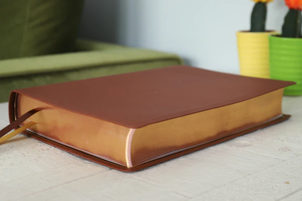 NIV, Thompson Chain-Reference Bible, Large Print, Red Letter Edition, Comfort Print - Image 14